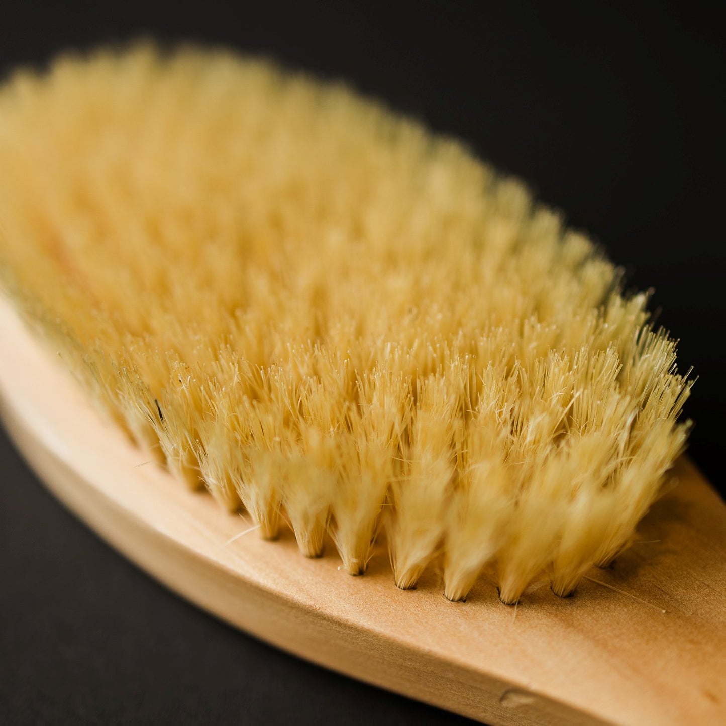Bath Brush with Long Handle