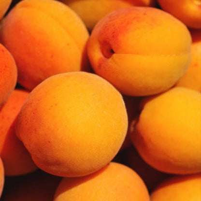 Close-up of fresh apricots used in cold-pressed oil making