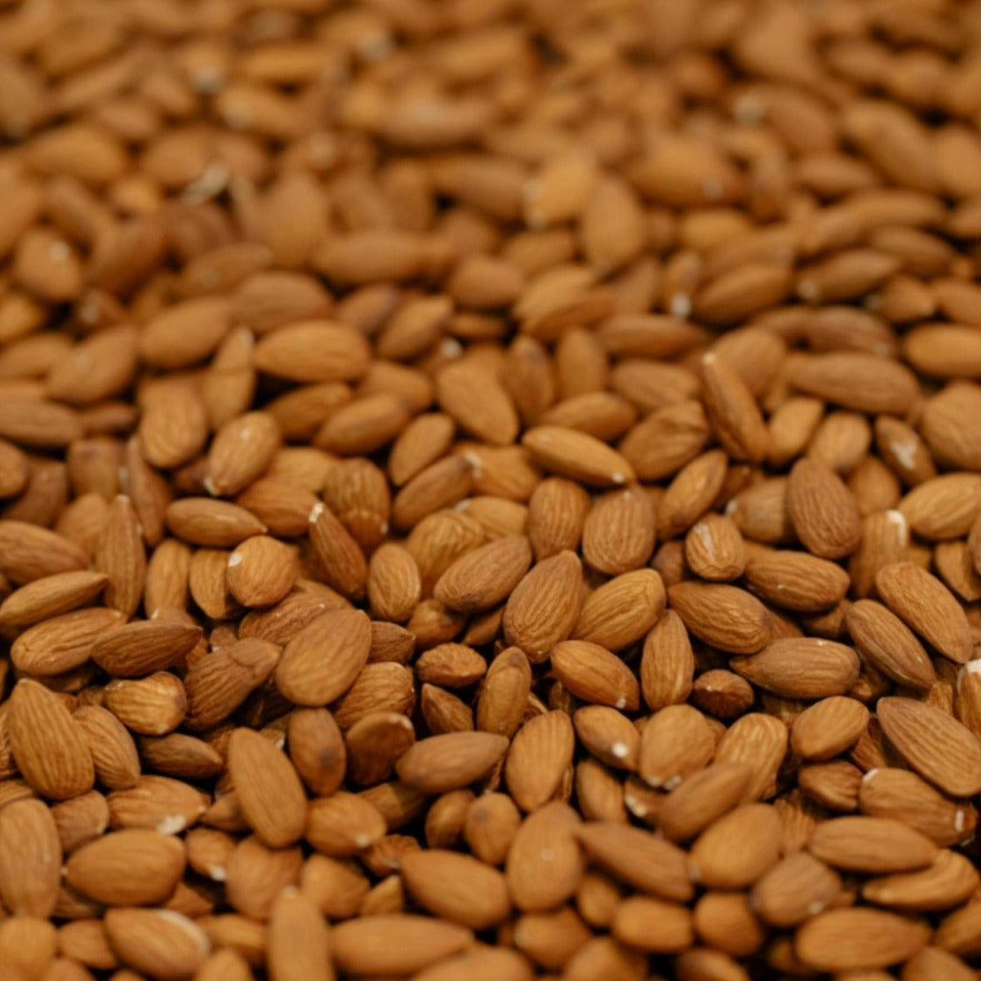 Close-up of sweet almonds used in natural almond oil production