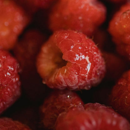 Close-up of fresh raspberries used in natural skincare oil production